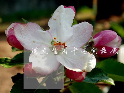 浦发信用卡还完最低还款算逾期吗 浦发信用卡还完最低还款算逾期吗
