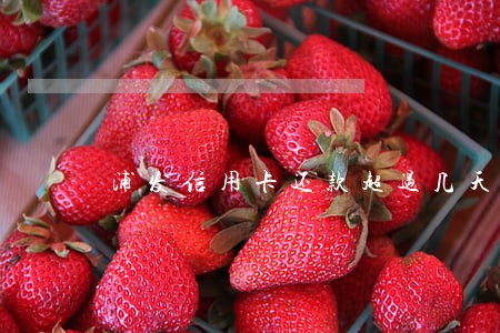 浦发信用卡还款超过几天算逾期