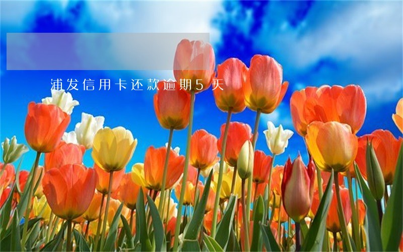 浦发信用卡还款逾期5天 浦发信用卡还款逾期5天