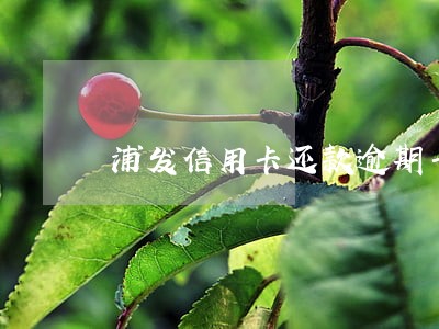 浦发信用卡还款逾期卡片冻结 浦发信用卡还款逾期卡片冻结
