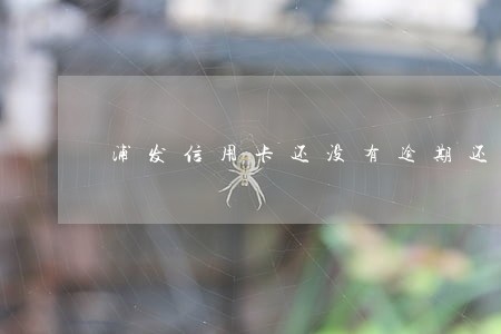 浦发信用卡还没有逾期还不上了