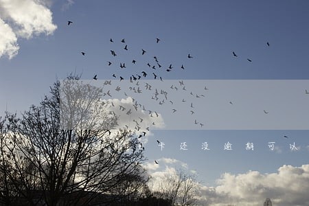 浦发信用卡还没逾期可以协商吗