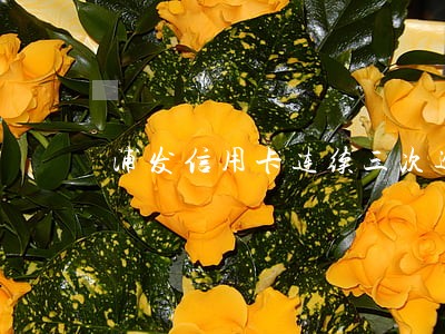 浦发信用卡连续三次逾期 浦发信用卡连续三次逾期