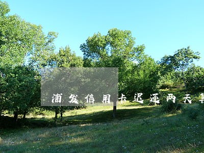浦发信用卡迟还两天算逾期吗 浦发信用卡迟还两天算逾期吗