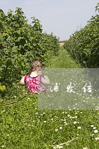 浦发信用卡逾期,被冻结了 浦发信用卡逾期,被冻结了