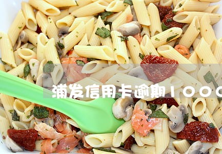 浦发信用卡逾期100000 浦发信用卡逾期100000