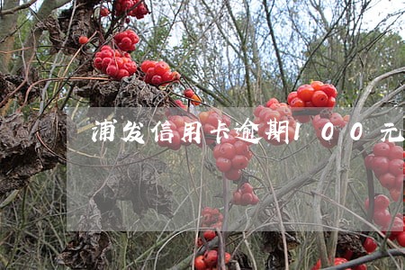 浦发信用卡逾期100元 浦发信用卡逾期100元