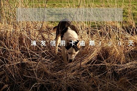 浦发信用卡逾期100天了
