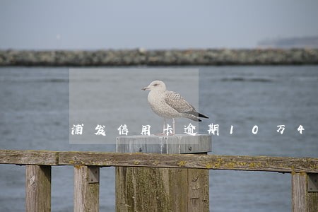 浦发信用卡逾期10万4个月 浦发信用卡逾期10万4个月