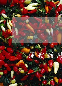 浦发信用卡逾期10几万 浦发信用卡逾期10几万