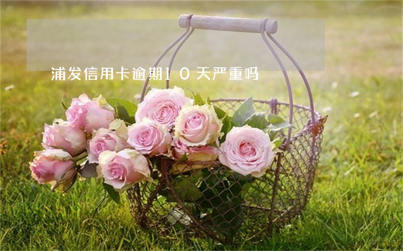 浦发信用卡逾期10天严重吗