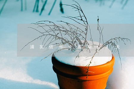 浦发信用卡逾期11天