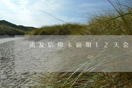 浦发信用卡逾期12天会冻结吗 浦发信用卡逾期12天会冻结吗