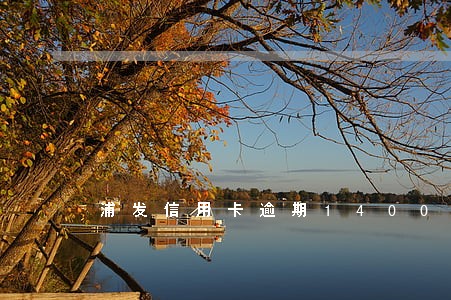 浦发信用卡逾期1400元