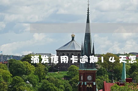 浦发信用卡逾期14天怎么办