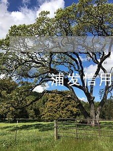 浦发信用卡逾期14天还 浦发信用卡逾期14天还