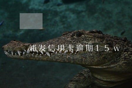 浦发信用卡逾期15w 浦发信用卡逾期15w