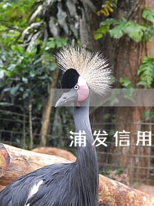 浦发信用卡逾期17万会怎么样 浦发信用卡逾期17万会怎么样