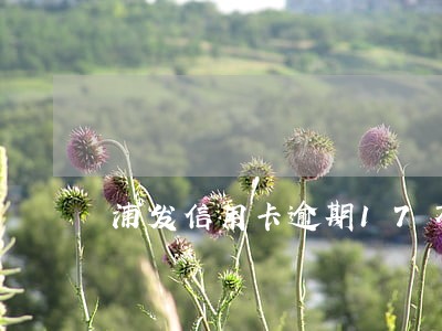 浦发信用卡逾期17万会怎样 浦发信用卡逾期17万会怎样