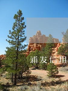 浦发信用卡逾期1800元 浦发信用卡逾期1800元