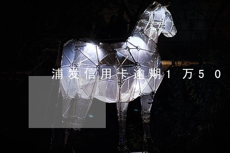 浦发信用卡逾期1万500多天