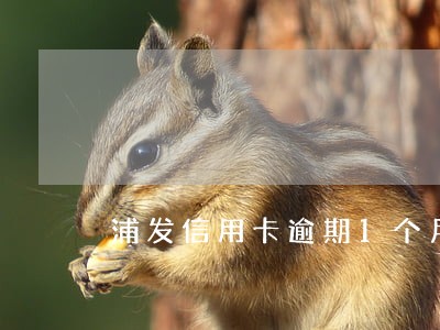 浦发信用卡逾期1个月停卡