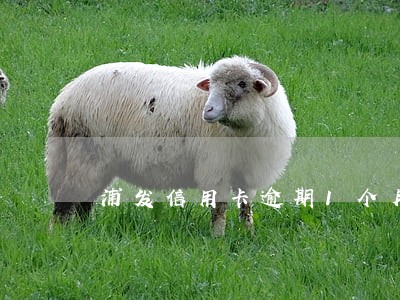 浦发信用卡逾期1个月多月