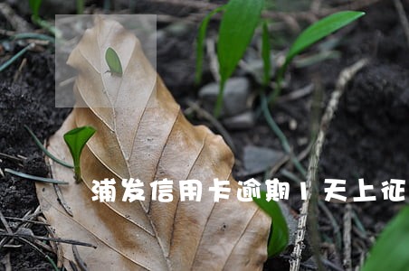 浦发信用卡逾期1天上征信嘛 浦发信用卡逾期1天上征信嘛