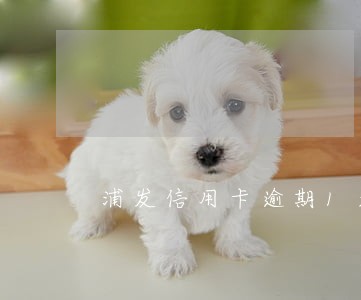 浦发信用卡逾期1天会上征信吗 浦发信用卡逾期1天会上征信吗