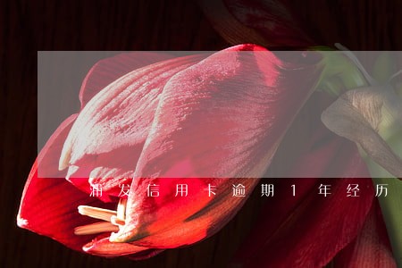 浦发信用卡逾期1年经历