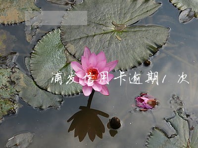 浦发信用卡逾期1次 浦发信用卡逾期1次