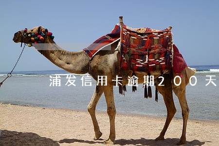 浦发信用卡逾期200天