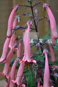 浦发信用卡逾期2021 浦发信用卡逾期2021