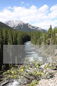 浦发信用卡逾期20万6个月