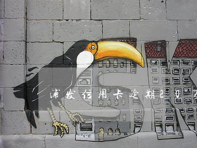 浦发信用卡逾期20万发律师函 浦发信用卡逾期20万发律师函