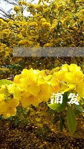 浦发信用卡逾期20天会上门吗
