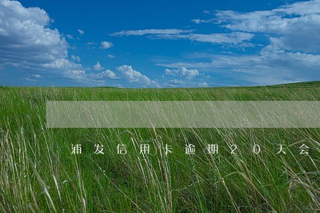 浦发信用卡逾期20天会怎么办 浦发信用卡逾期20天会怎么办