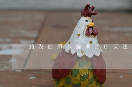 浦发信用卡逾期20天还上 浦发信用卡逾期20天还上