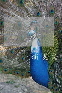 浦发信用卡逾期23天 浦发信用卡逾期23天