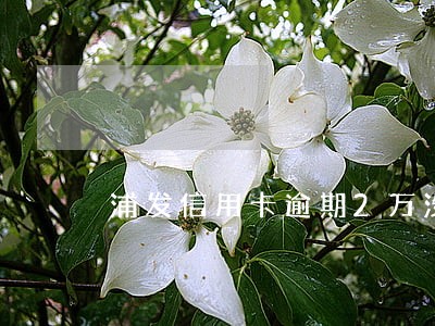 浦发信用卡逾期2万没还会扣钱吗 浦发信用卡逾期2万没还会扣钱吗