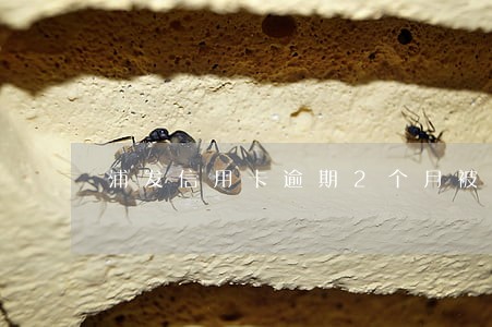 浦发信用卡逾期2个月被冻结 浦发信用卡逾期2个月被冻结