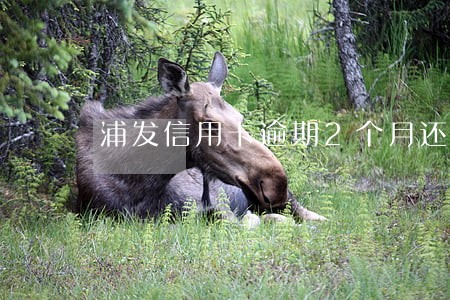 浦发信用卡逾期2个月还款