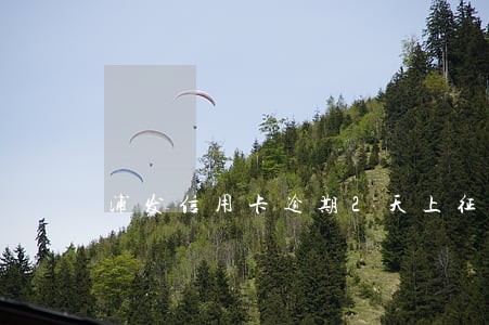 浦发信用卡逾期2天上征信吗