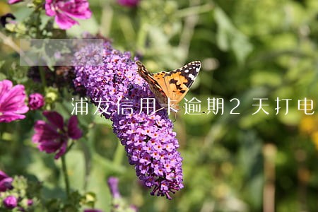 浦发信用卡逾期2天打电话还全款 浦发信用卡逾期2天打电话还全款