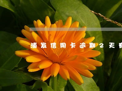 浦发信用卡逾期2天有事 浦发信用卡逾期2天有事