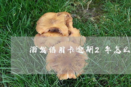 浦发信用卡逾期2年怎么处罚兴业 浦发信用卡逾期2年怎么处罚兴业