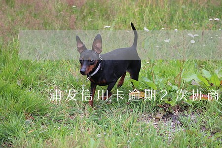 浦发信用卡逾期2次协商分期 浦发信用卡逾期2次协商分期
