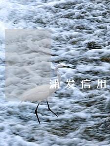 浦发信用卡逾期30000 浦发信用卡逾期30000