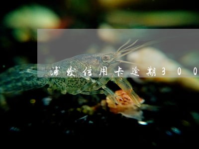 浦发信用卡逾期300块 浦发信用卡逾期300块