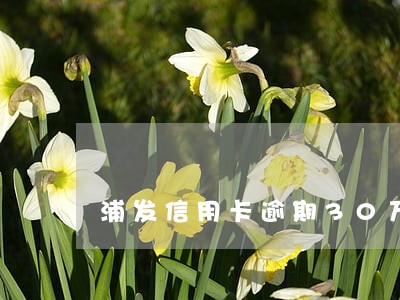 浦发信用卡逾期30万